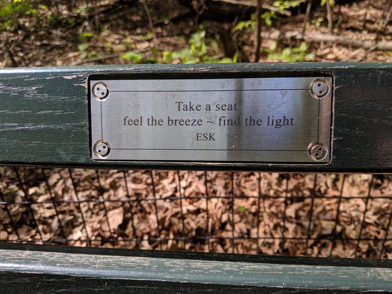 I saw this bench in Central Park