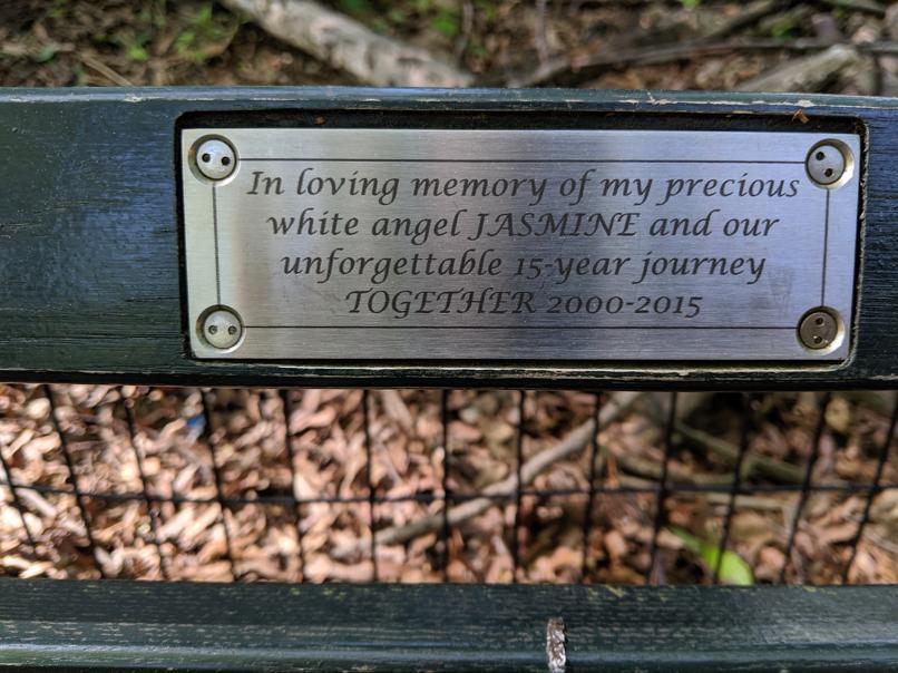 I saw this bench in Central Park