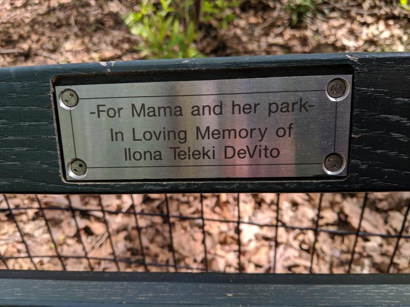 I saw this bench in Central Park