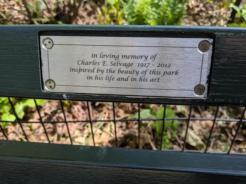 I saw this bench in Central Park