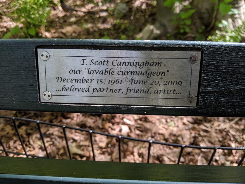 I saw this bench in Central Park