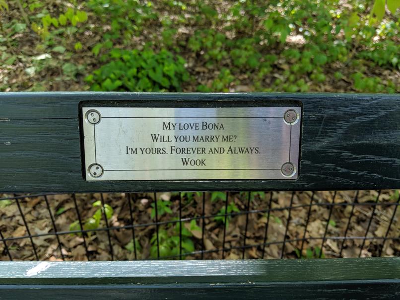 I saw this bench in Central Park