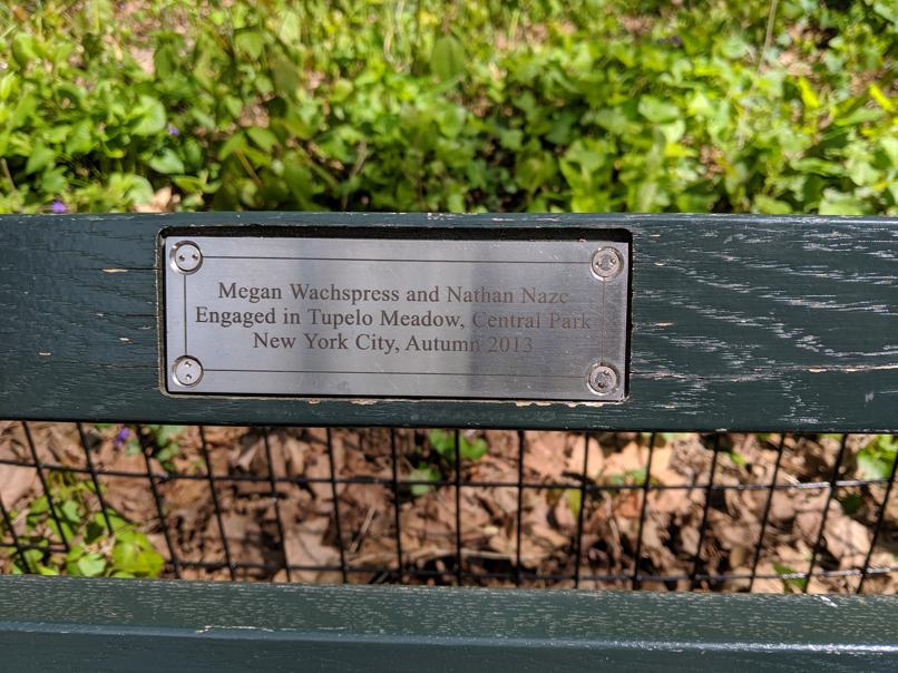 I saw this bench in Central Park