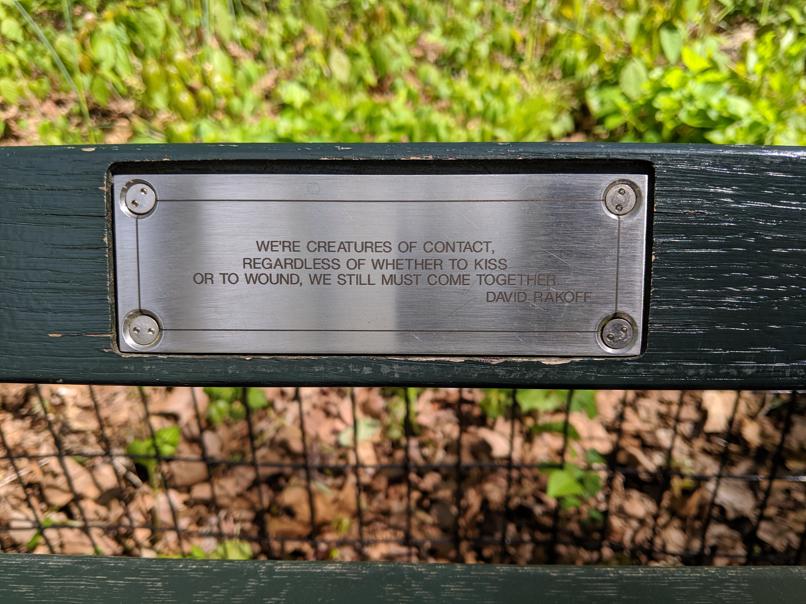 I saw this bench in Central Park