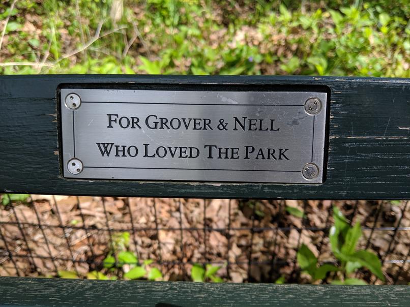 I saw this bench in Central Park