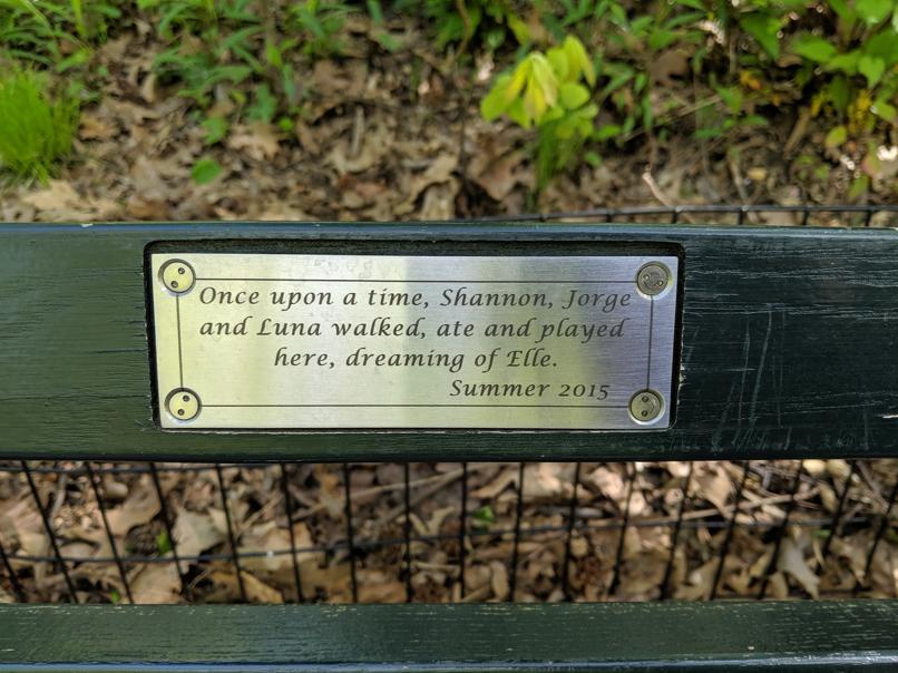 I saw this bench in Central Park