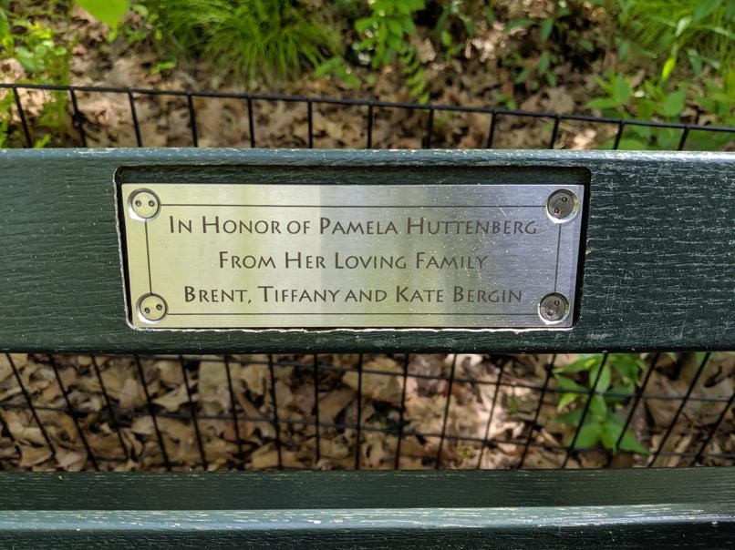 I saw this bench in Central Park