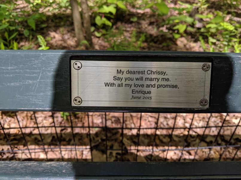 I saw this bench in Central Park