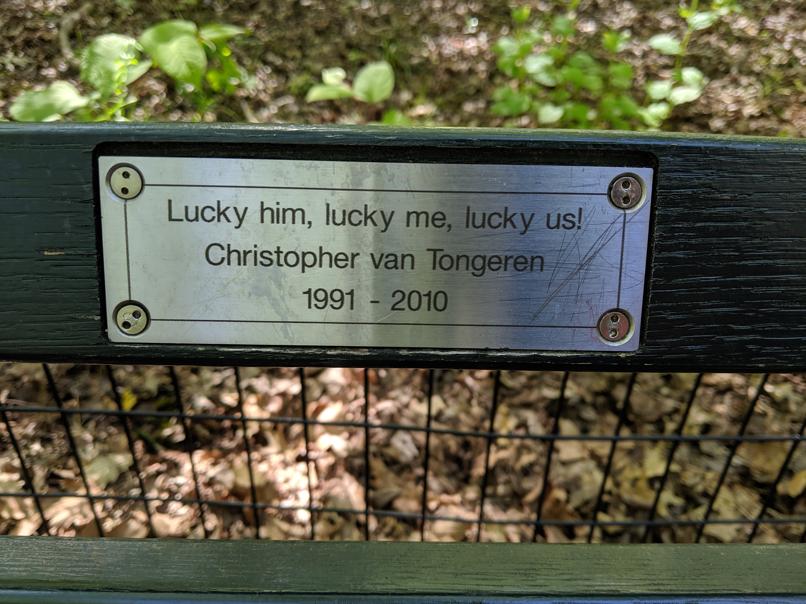 I saw this bench in Central Park