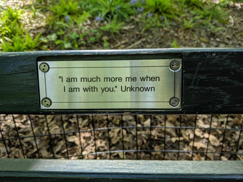 I saw this bench in Central Park