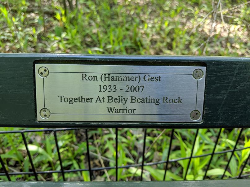 I saw this bench in Central Park