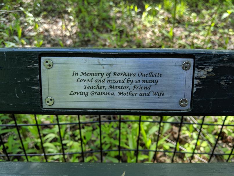 I saw this bench in Central Park