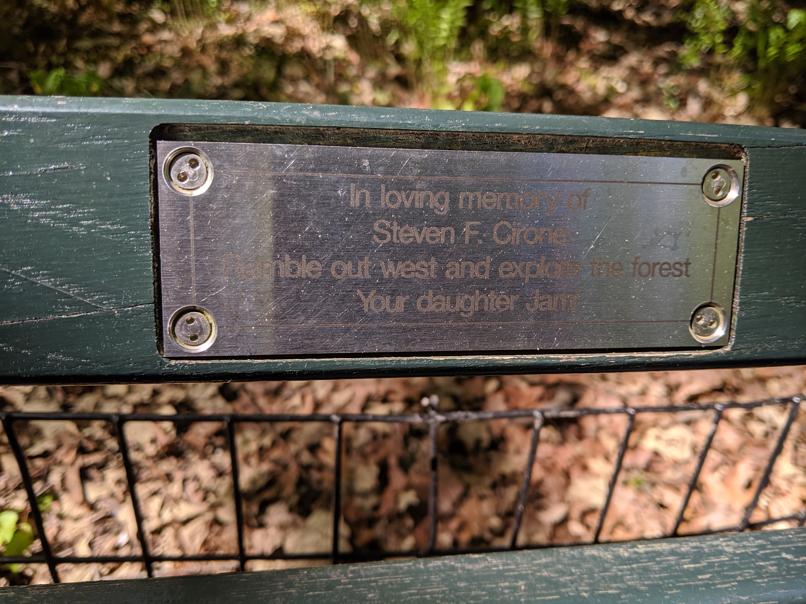 I saw this bench in Central Park