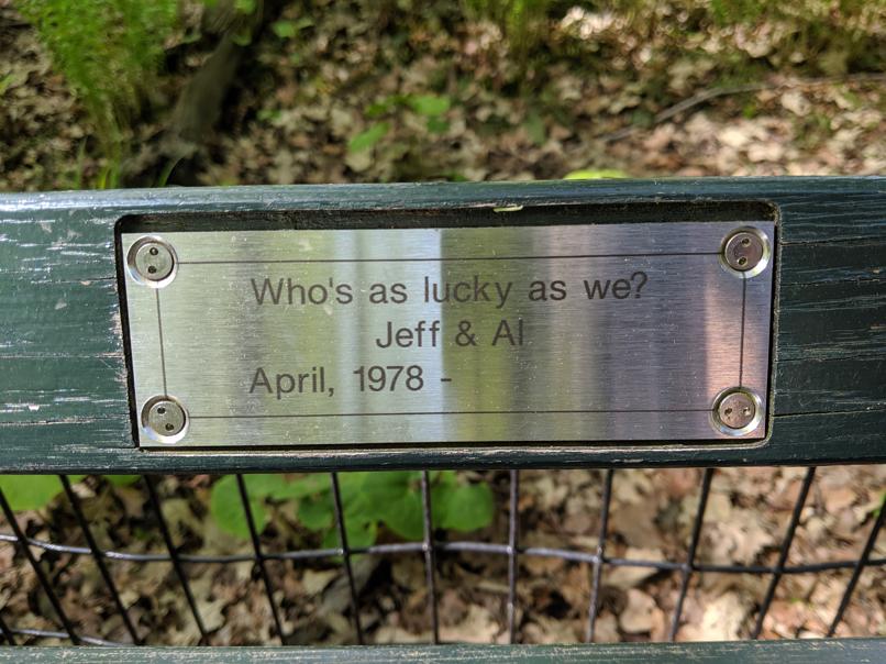 I saw this bench in Central Park