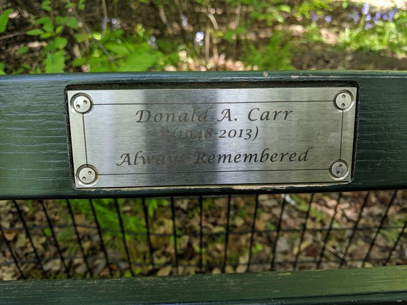 I saw this bench in Central Park