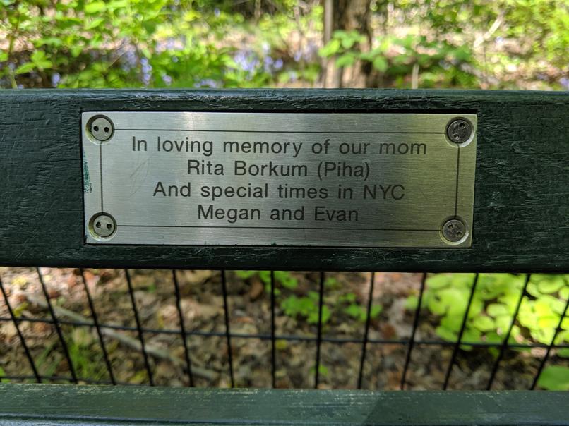 I saw this bench in Central Park