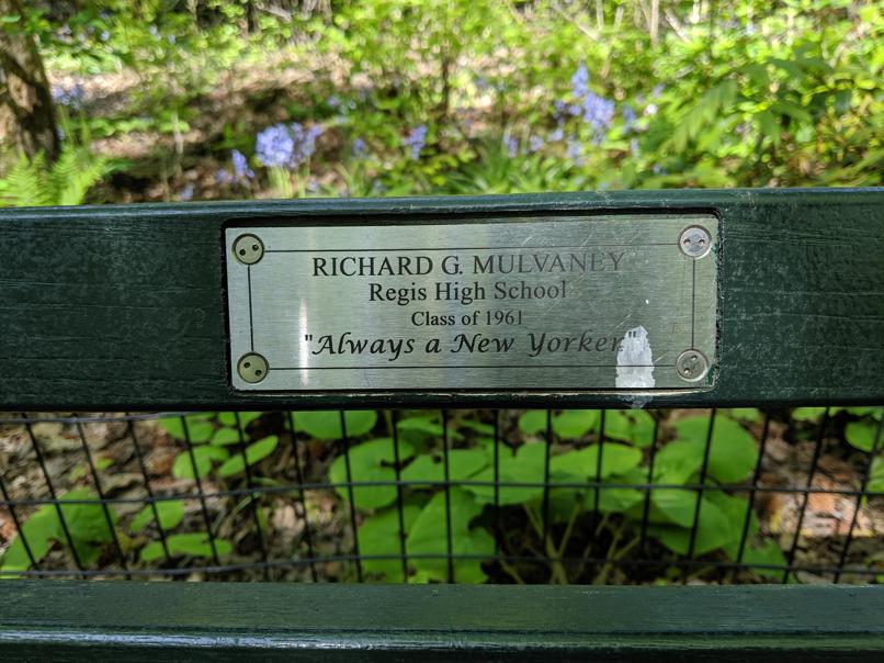 I saw this bench in Central Park