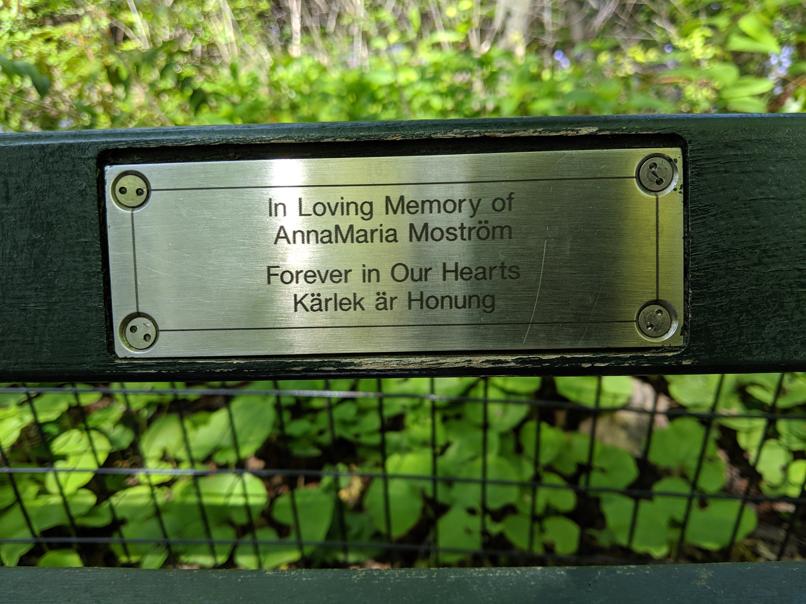 I saw this bench in Central Park