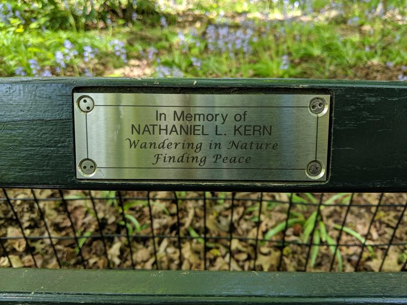 I saw this bench in Central Park