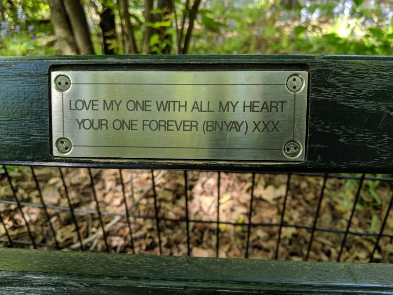 I saw this bench in Central Park