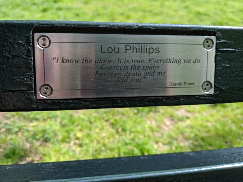 I saw this bench in Central Park