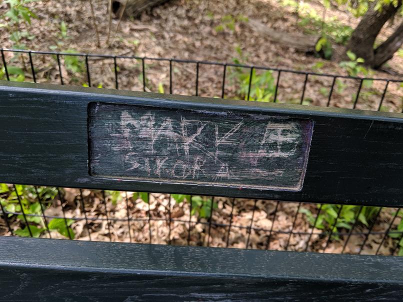 I saw this bench in Central Park