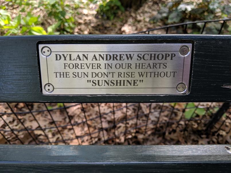 I saw this bench in Central Park