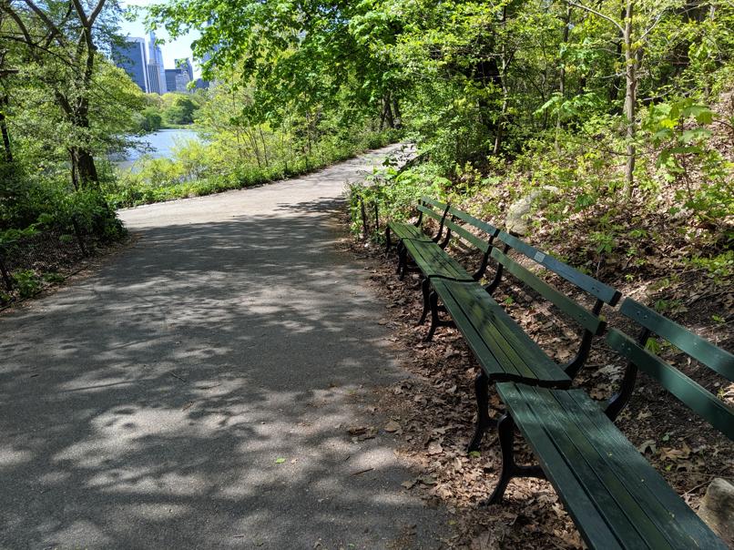 I saw this bench in Central Park