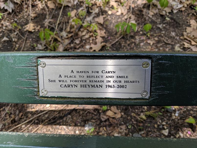 I saw this bench in Central Park