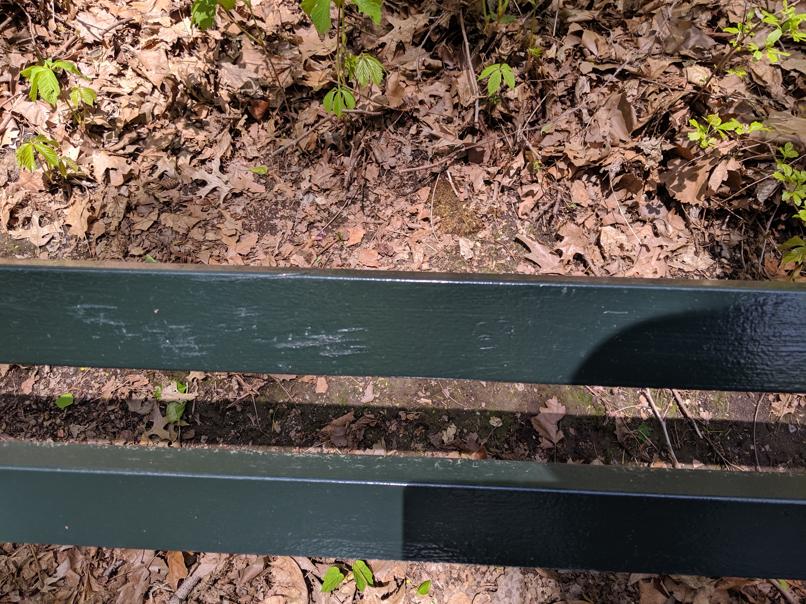 I saw this bench in Central Park