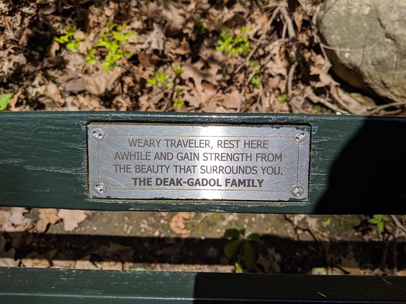 I saw this bench in Central Park