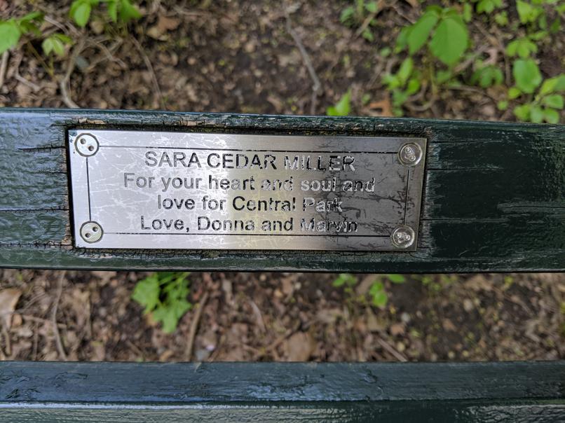 I saw this bench in Central Park