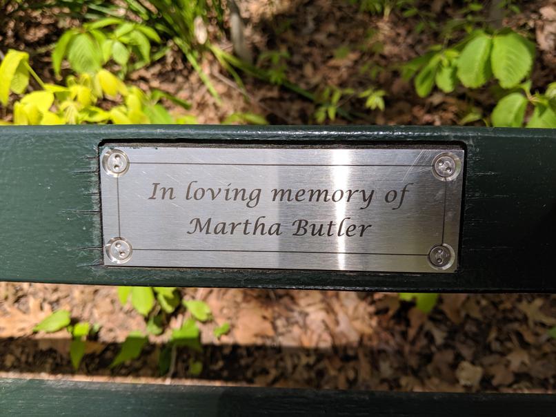 I saw this bench in Central Park