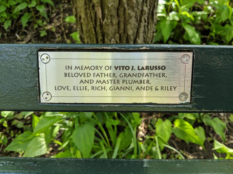 I saw this bench in Central Park