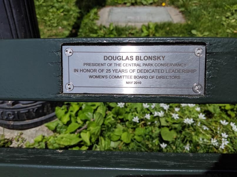 I saw this bench in Central Park