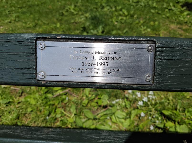 I saw this bench in Central Park