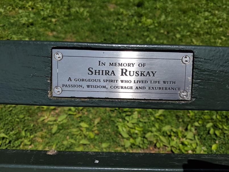 I saw this bench in Central Park