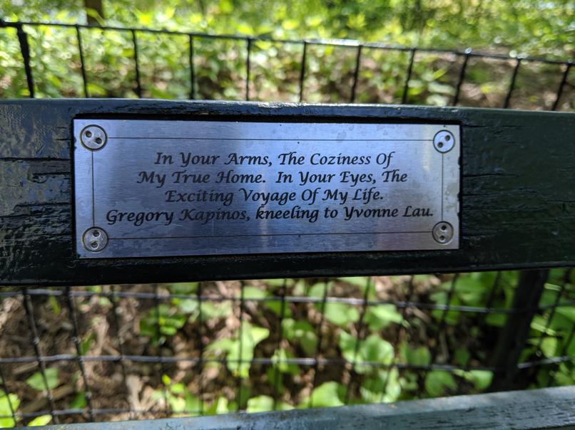 I saw this bench in Central Park