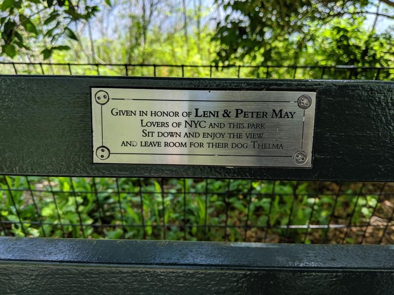 I saw this bench in Central Park