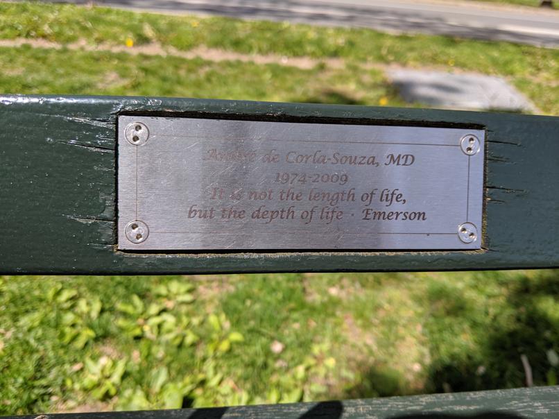 I saw this bench in Central Park