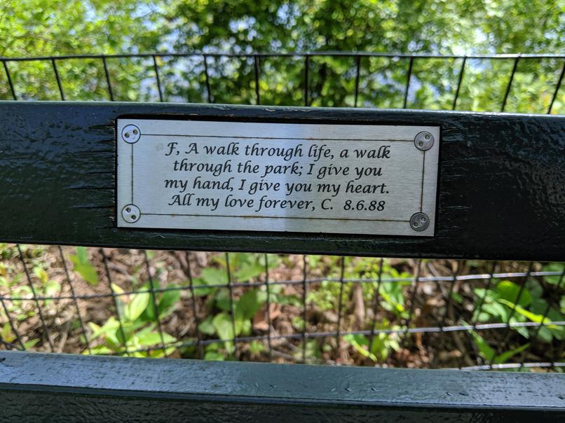 I saw this bench in Central Park