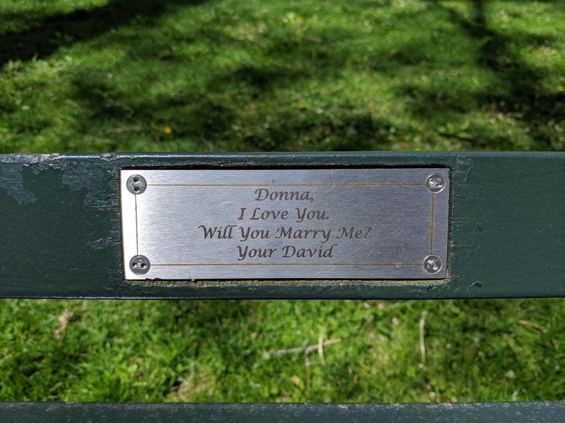 I saw this bench in Central Park