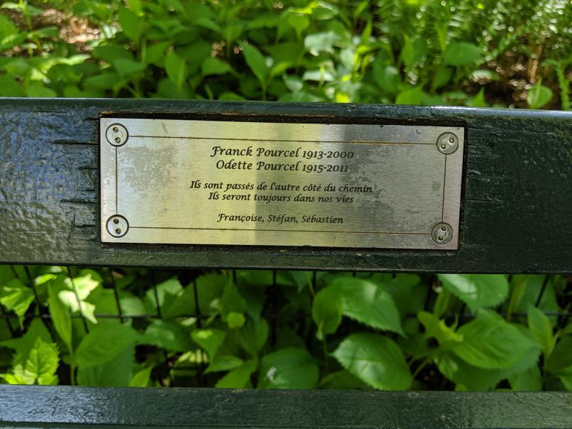 I saw this bench in Central Park