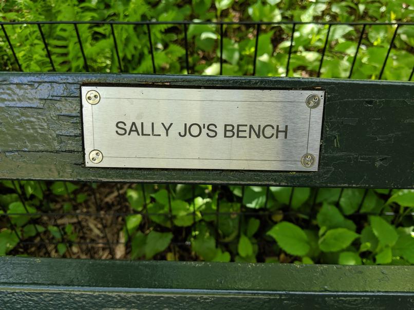 I saw this bench in Central Park