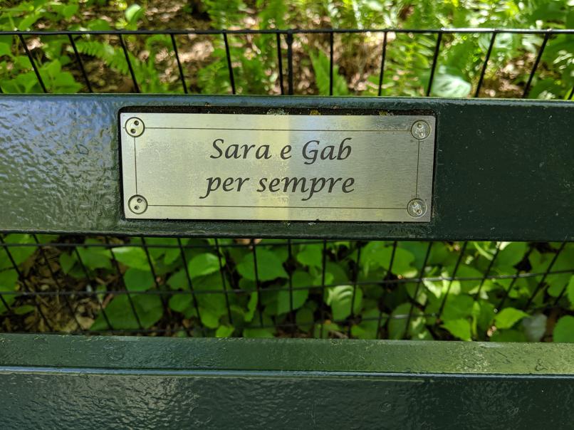 I saw this bench in Central Park