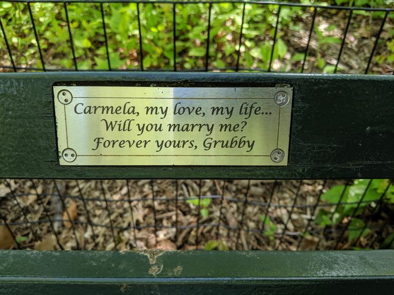 I saw this bench in Central Park