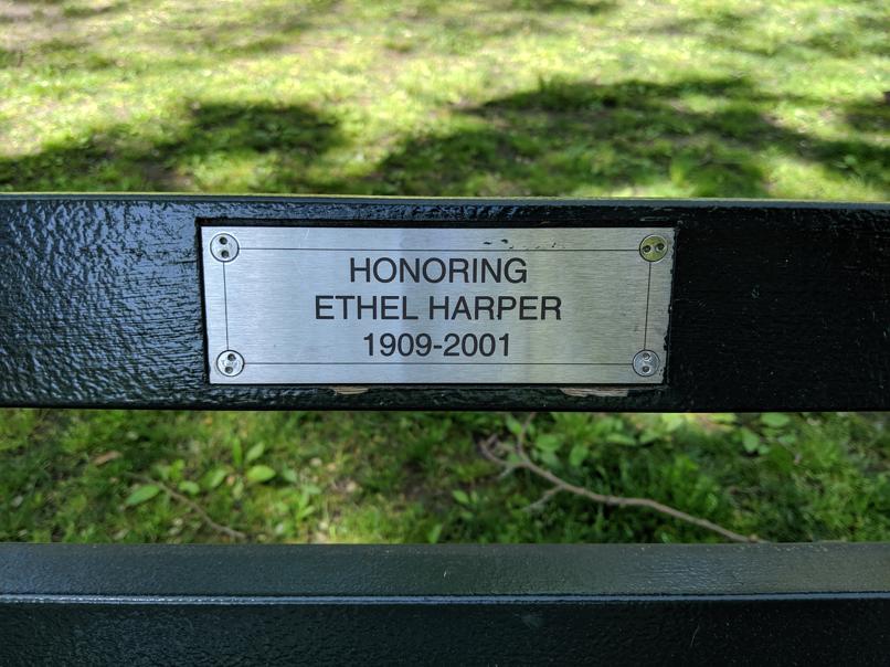 I saw this bench in Central Park