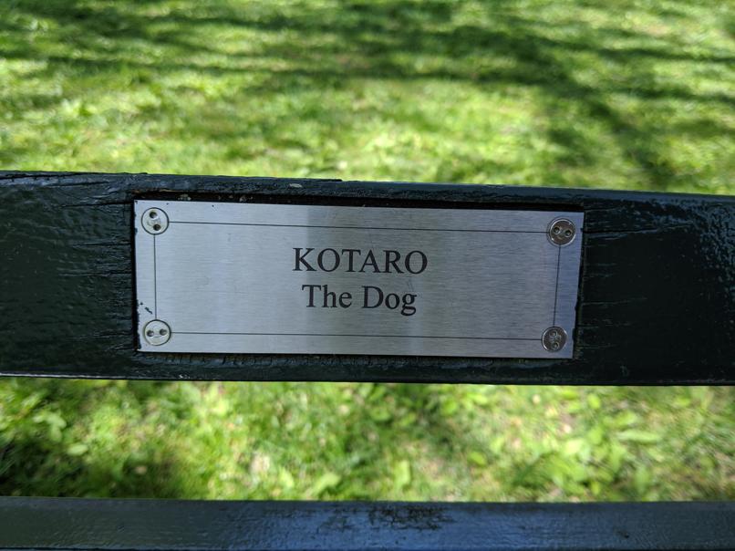 I saw this bench in Central Park