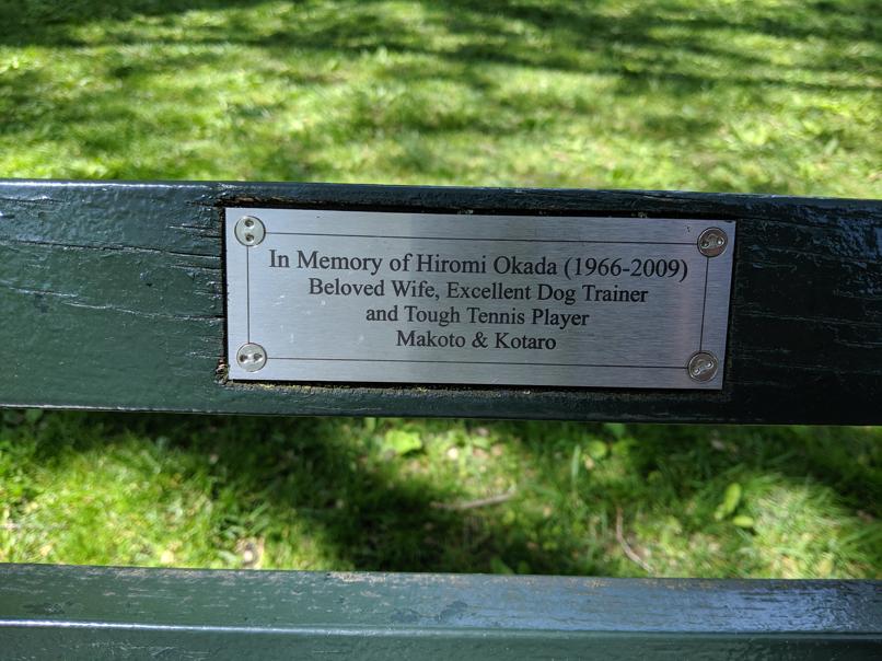 I saw this bench in Central Park