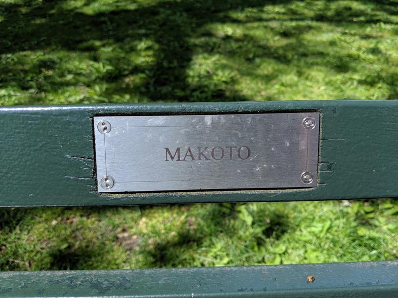 I saw this bench in Central Park